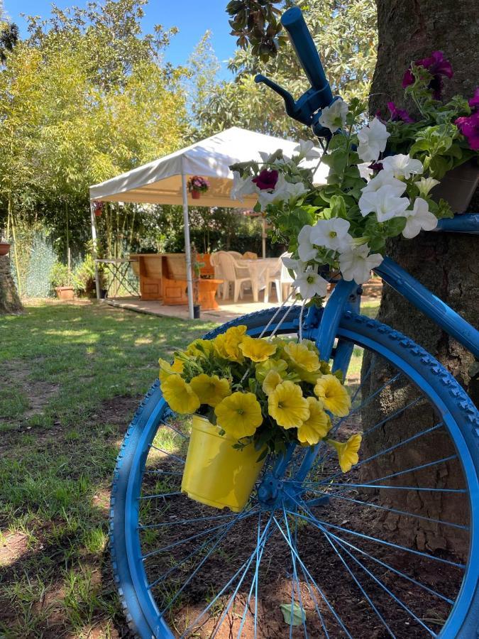 Appartamento In Villa Con Giardino Vicino Al Mare Bella Farnia Dış mekan fotoğraf