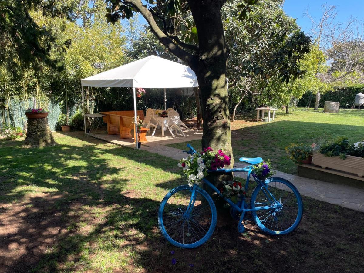 Appartamento In Villa Con Giardino Vicino Al Mare Bella Farnia Dış mekan fotoğraf